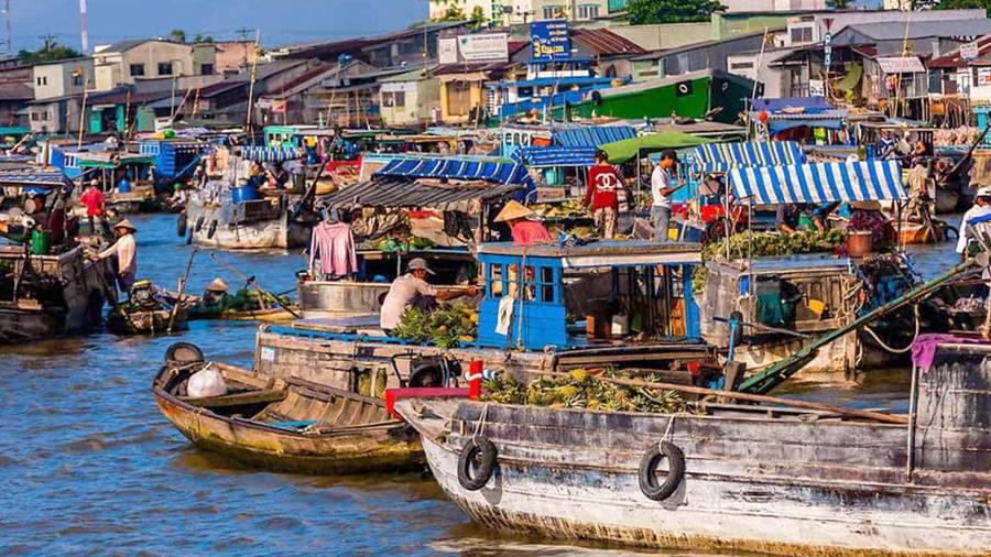 cho-noi-ca-mau-net-doc-dao-cua-mien-tay-song-nuoc-3-1663303247