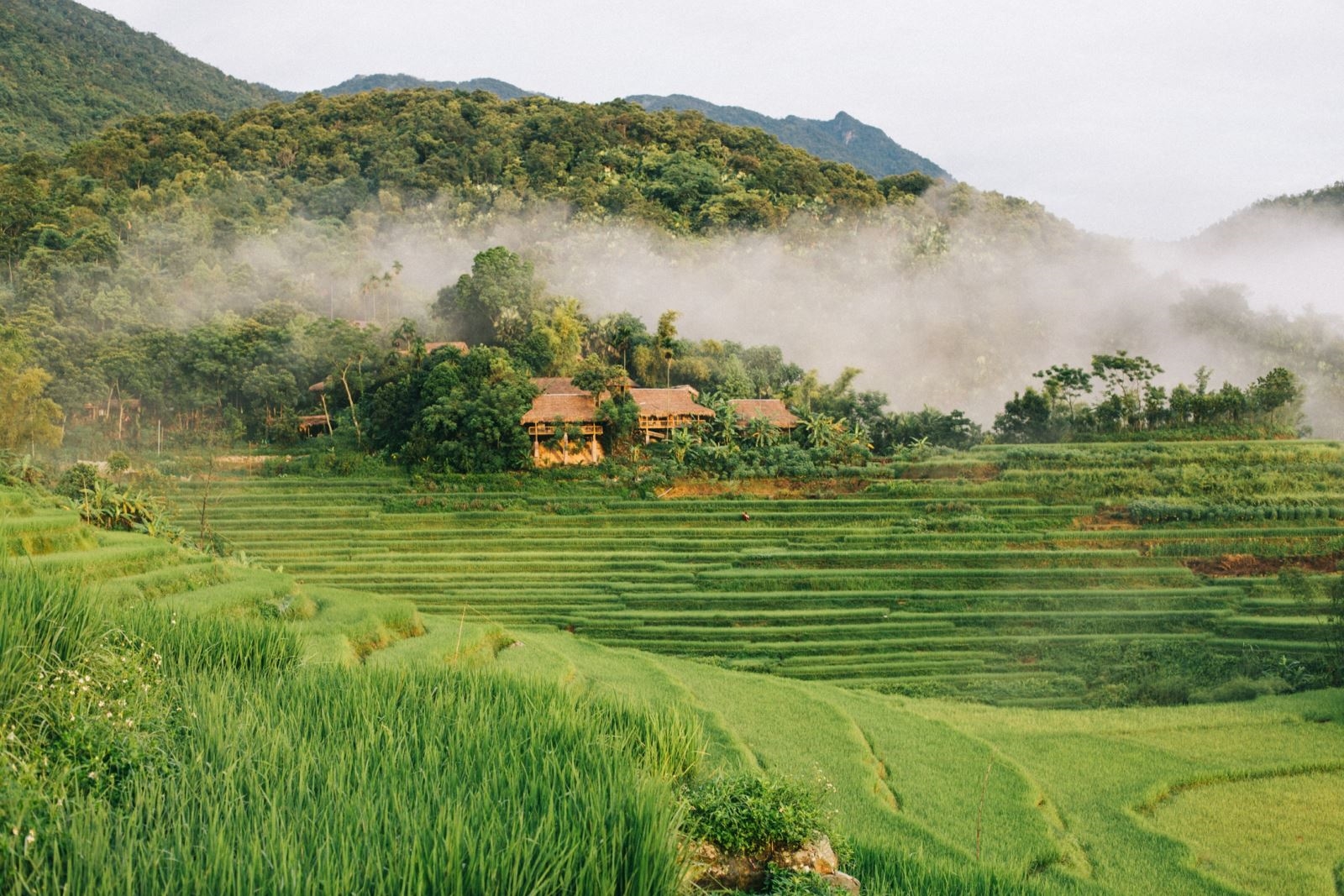 du-lich-pu-luong-thanh-hoa-7