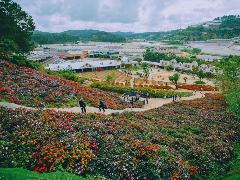 nong-trai-cun-puppy-farm-da-lat-1