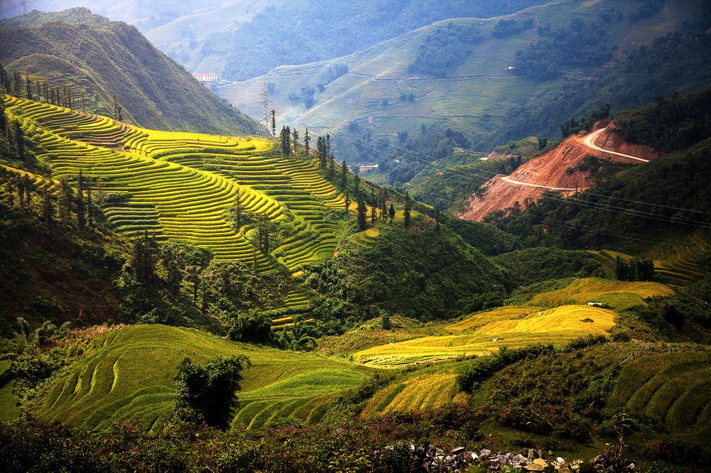 Sapa - Cát Cát - Mona - Fan - Chợ Bắc Hà 3N2D (KS 5 sao KK hotel)